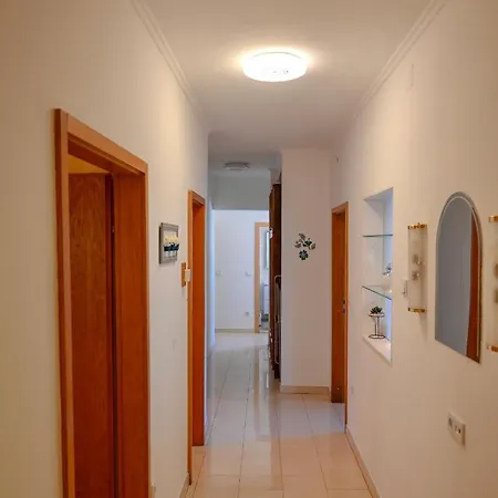 Apartment Damir