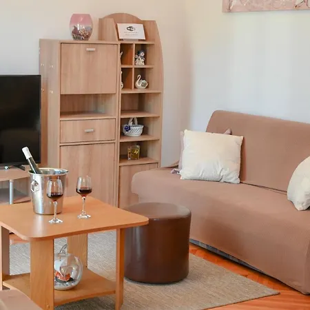 Damir トロギール