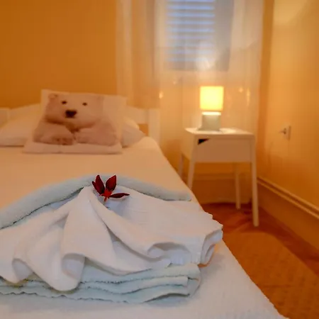 Damir * トロギール