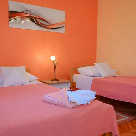 Damir トロギール